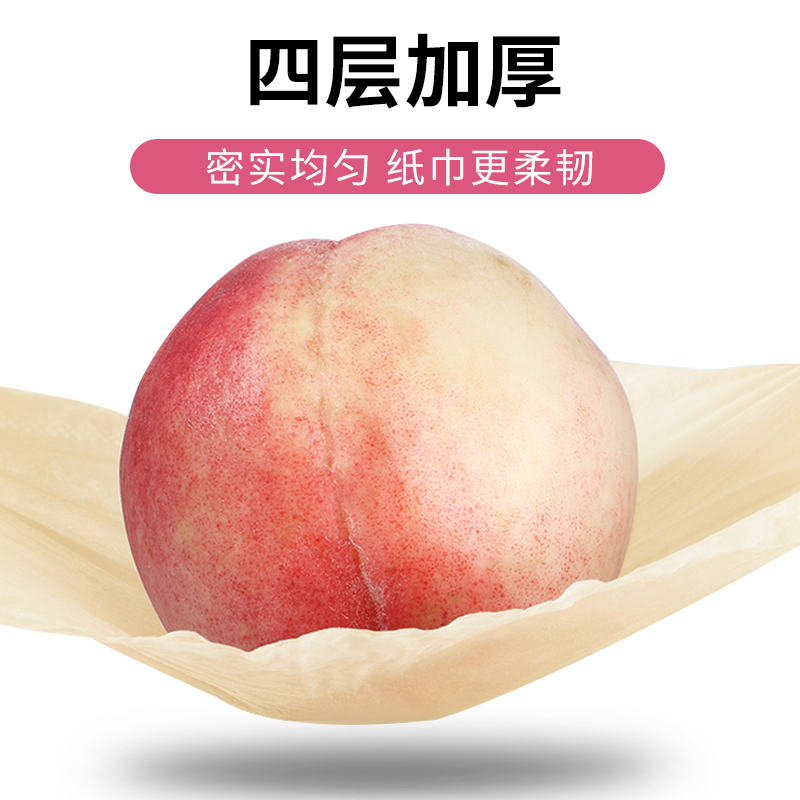 嘉士利10包批发整箱家用实惠餐巾纸 嘉士利家居抽纸