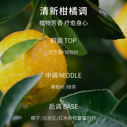 皙阁红木籽油250ml 按摩全身提拉紧致面部刮痧精油养肤油 - 图2