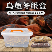 Turtle Winter Sleeping Box Supplies Coconut Earth Chile Water Toss Turtle Over Winter Earth Basil Tortoise Glans Yellow Edge Razor Special Case