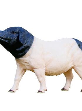 仿真猪模型雕塑农场玻璃钢动物小猪摆件户外草坪花园庭院景观装饰