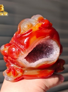 灵蟾晶舍｜逆势翻红｜天然红玛瑙水晶金蟾摆件招财聚财暴富装饰49