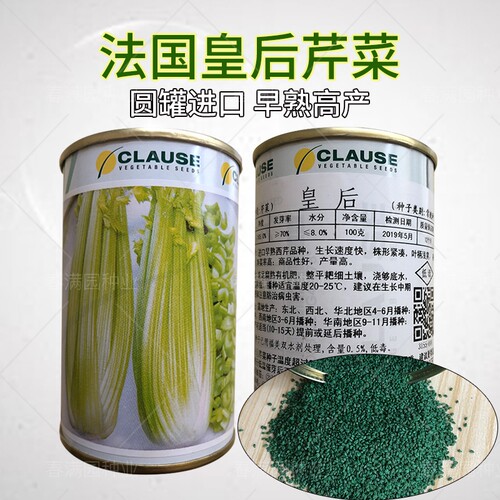 法国皇后西芹种子种籽正宗原装进口皇后芹菜种子100克铁罐装芹菜 - 图3
