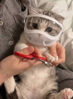 猫嘴套咪头防咬舔剪指甲洗
