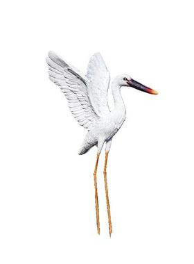 户外玻璃钢仿真白鹭雕塑园林景观白鹤仙鹤别墅庭院水池鸟摆件装饰