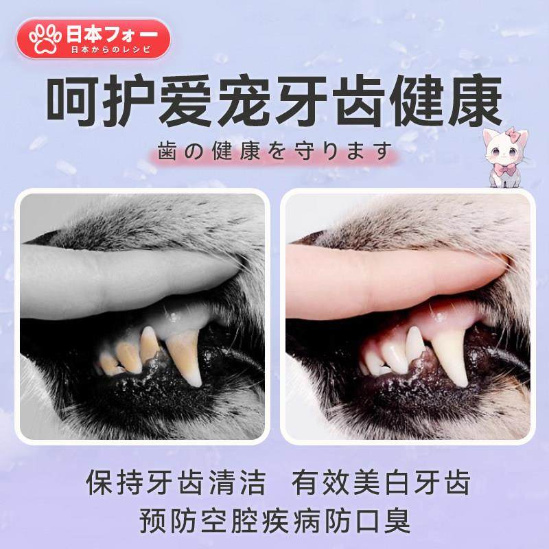 【宠物牙刷指套】猫咪专用牙刷宠物小型犬牙齿清洁工具狗狗口腔,淘宝优惠券,粉丝福利购,淘宝优惠卷