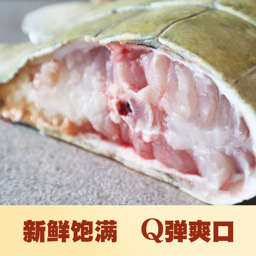 农场鳄鱼哥 新鲜现杀带皮去麟鳄鱼肉2斤 - 图1