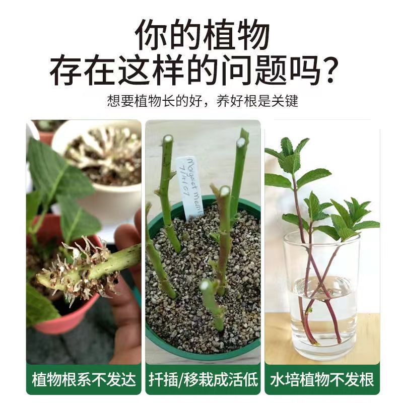 根系一包壮花卉盆栽家用绿植壮苗扦插调节生长植物生根通用水溶肥 - 图0