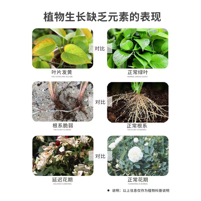 根系一包壮花卉盆栽家用绿植壮苗扦插调节生长植物生根通用水溶肥 - 图1