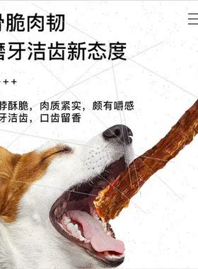 Air-dried Duck Neck Pet SnacksDogs Teeth Grinding SticksTeet