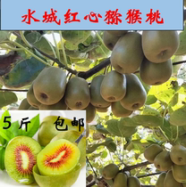 Guizhou Zhengzong Water City Red Heart Gooseberry Field Rice Basket of Exotic Fruits Pregnant pregnant Fruit Fruits T Grade Fruits 5 Cati