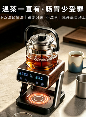 茶皇子纯钛蒸汽喷淋自上水萃茶机