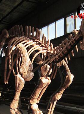博物馆恐龙古生物化石扶绥龙禽龙骨架骨骼大型逼真玻璃钢模型标本