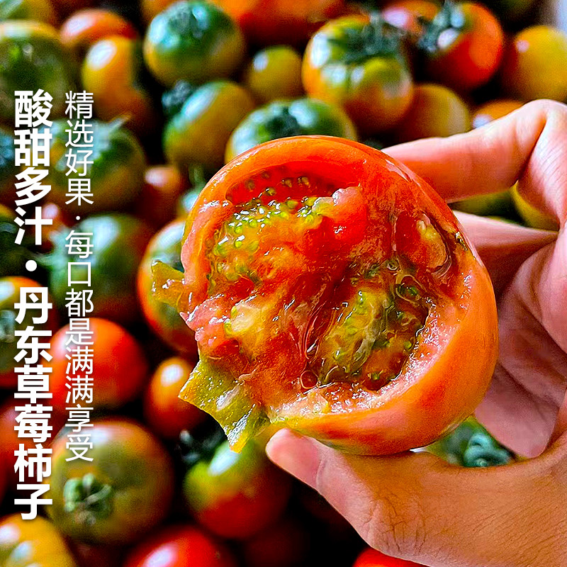 正宗铁皮草莓柿子1/2/3/5斤现摘碱地新鲜自然熟绿腚番茄西红柿