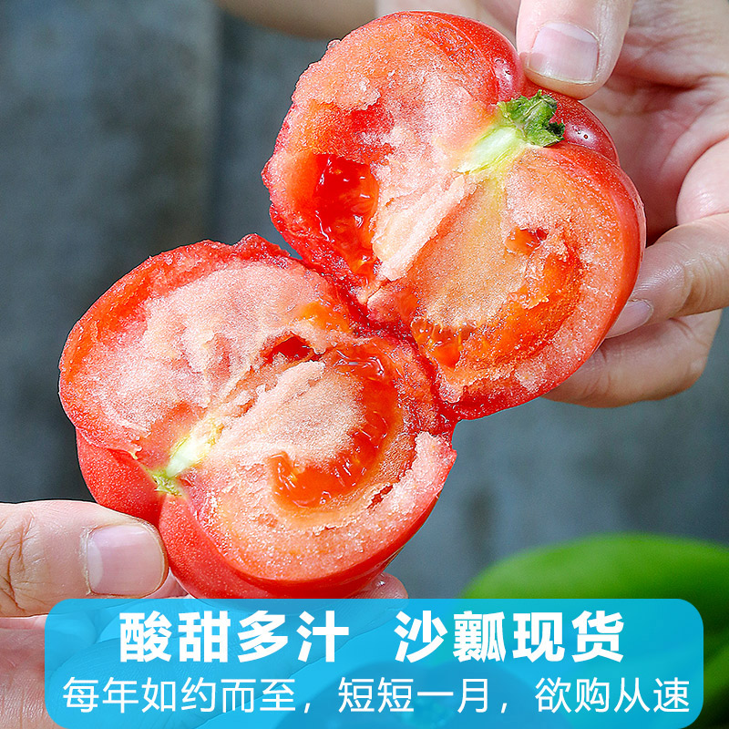 新鲜沙瓤西红柿现摘水果自然熟生吃番茄蔬菜非草莓柿子普罗旺斯甜