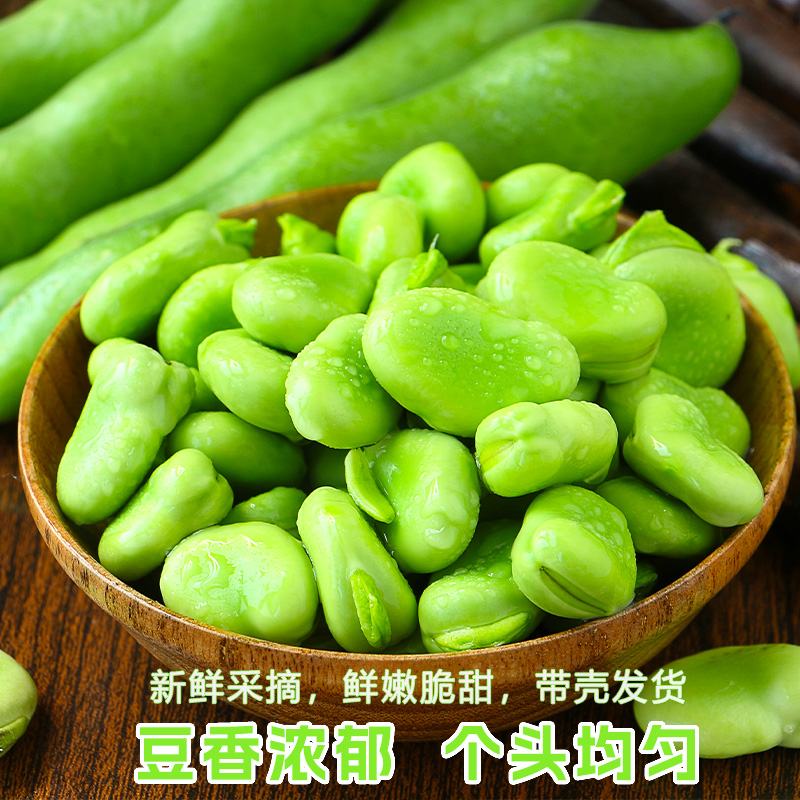 蚕豆新鲜5斤带壳农家生蚕豆罗汉豆兰花胡豆佛青豆荚蔬菜顺丰包邮-图0