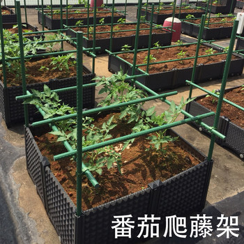 ການເຮັດສວນ balcony ປີນຂຶ້ນ vine flower stand bracket grape cucumber loofah rose bean outdoor courtyard climbing frame support rod