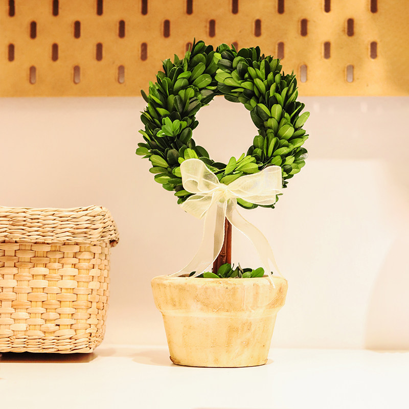 创意盆栽花卉植物办公室内绿植客厅桌面盆景七夕节礼物永生花干花,淘宝优惠券,粉丝福利购,淘宝优惠卷
