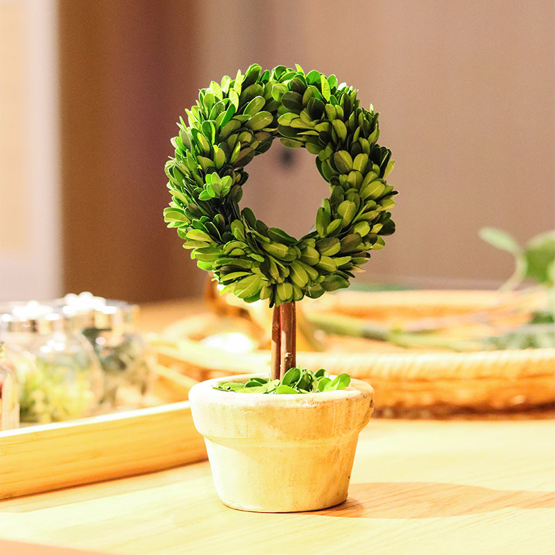 创意盆栽花卉植物办公室内绿植客厅桌面盆景七夕节礼物永生花干花,淘宝优惠券,粉丝福利购,淘宝优惠卷