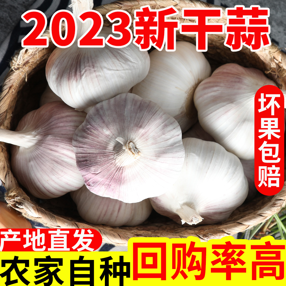 【降价了】2023年新鲜新晒干大蒜干蒜5斤装农家自种蒜头1斤2斤3斤 - 图0