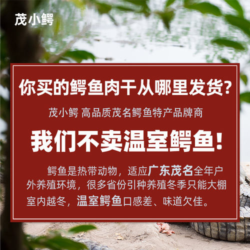 200克精品鳄鱼肉干 正宗茂名特产新鲜鳄鱼肉生晒煲汤专用茂小鳄 - 图1