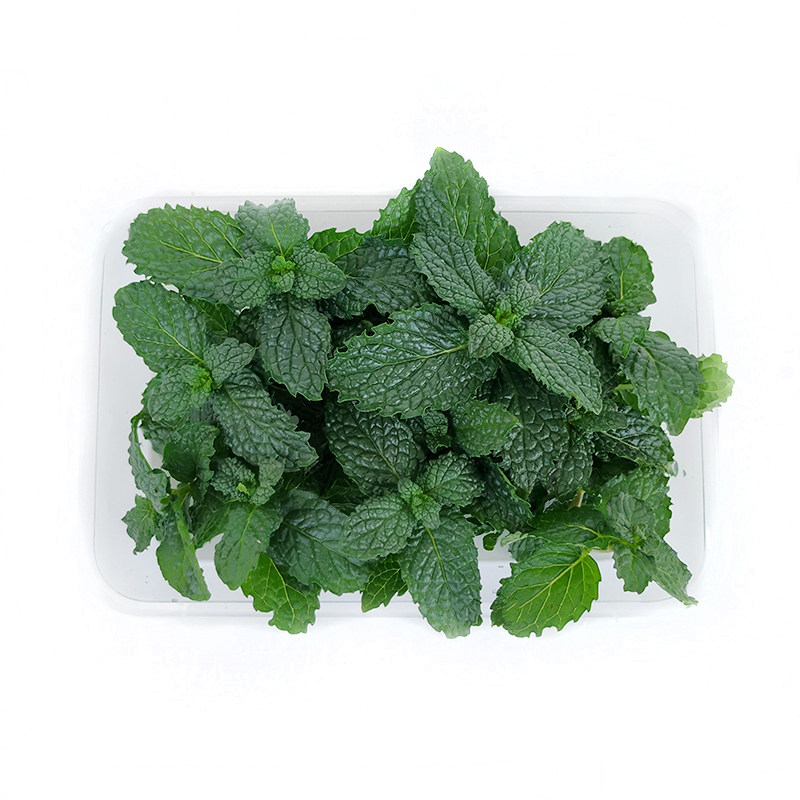 新鲜薄荷叶约40朵可食用薄荷头薄荷芽酒店西餐调酒蛋糕装饰点缀,淘宝优惠券,粉丝福利购,淘宝优惠卷