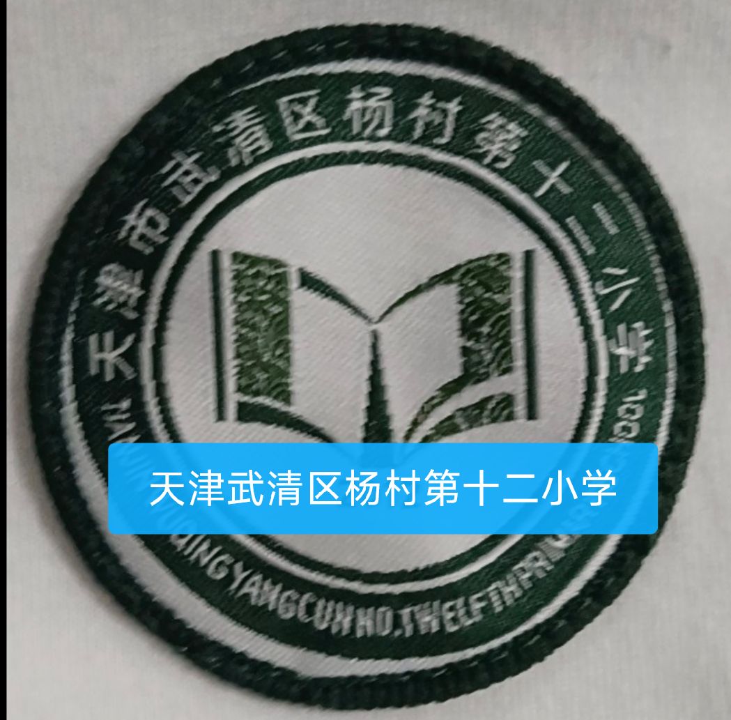 天津市校徽布贴定制和平红桥东丽西青津南北辰武清区实验中小学校 - 图1