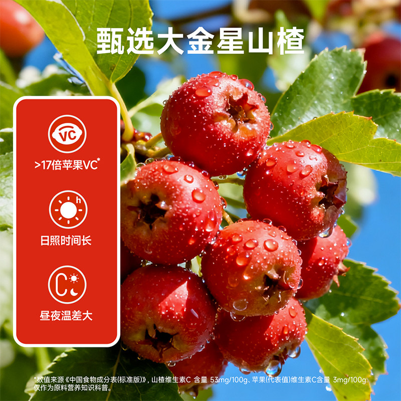 窝小芽鸡内金山楂棒棒糖无添加糖葫芦儿童零食送婴幼儿宝宝辅食谱