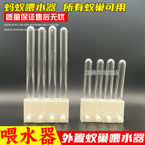 Ant water feeder 3D printing of water feeder ants nest feeder acrylic ants nest concrete ant nest water feeder