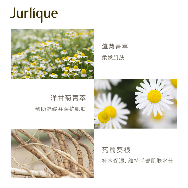 【618狂欢节】Jurlique/茱莉蔻柠檬天竺葵香护手乳300ml滋润保湿 - 图2