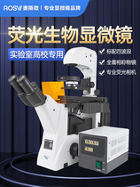 Omicrobial Inverted Fluorescence Microscope Professional Class Electronic Laboratory Four Color Fluorescence Excitation With Photo Measurement Function School Analysis Biology cell Life Science Research Private