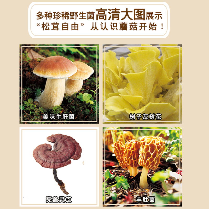 实用野生蘑菇鉴别宝典 大作晃一吹春俊光野生蘑菇使用图鉴书籍食用蘑菇菌菇松茸菌类野生菌野生毒蘑菇识别方法采书蘑菇百科大全书