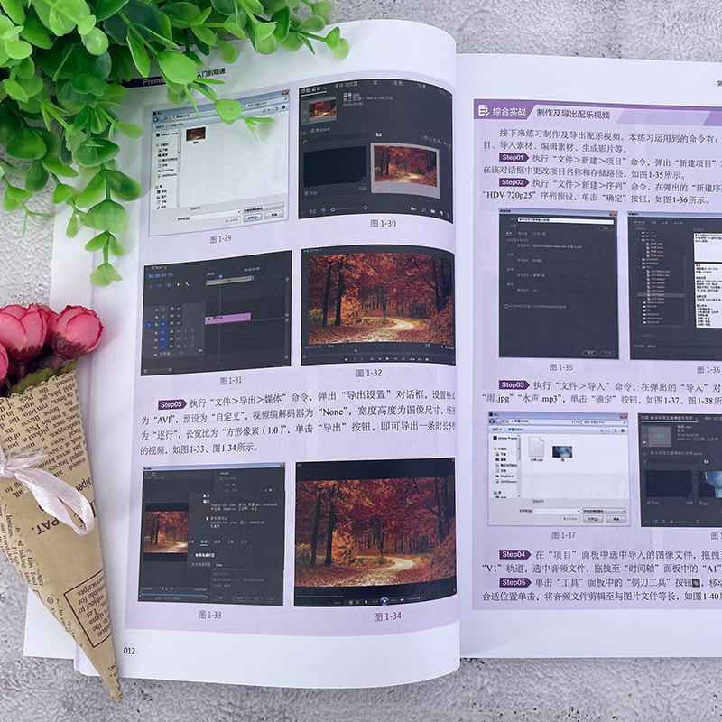 Pr软件教程书籍Adobe Premiere Pro零基础从入门到精通Pr书从零开始学做视频剪辑手机短视频制作教程书影视实训教材