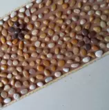 Массаж натуральных булыжных массажных подушечников с цветочными каменными ногами и взять одеяло Здоровое каменное дорожное тропа.