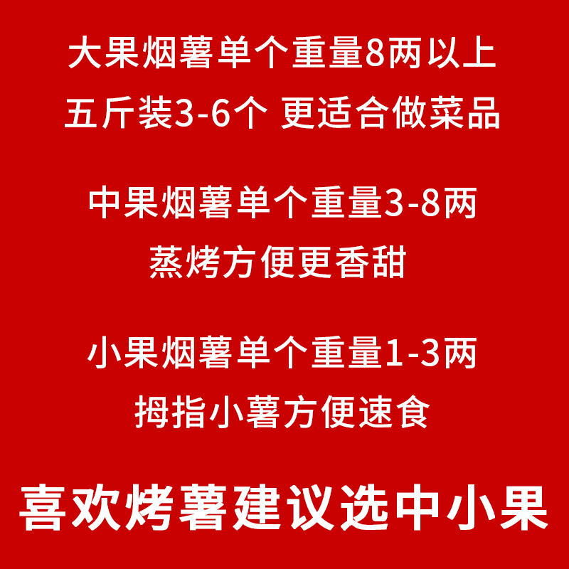 山东烟薯25号正宗蜜薯新鲜现挖红薯糖心流油烤地瓜农家粗粮小山芋