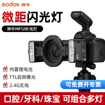 Godox God Bull MF12 Micro-Pitch Flash Single Counter Camera External TTL Automatic Photometric Machine Top Flash Oral Dental Insect Jewelry Details Shooting Combinable Multi Lights