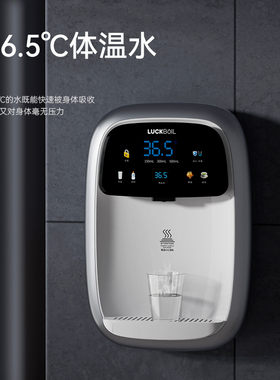 壁挂式管线机luckboil