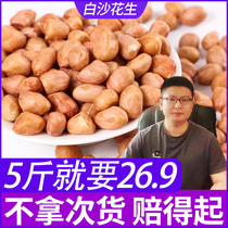 23 years Fresh large grain white sand Peanut Rice Farmhouse Red Peel Peanut Kernel to shell Northeastern New Cargo Red Peanut Rice Commercial