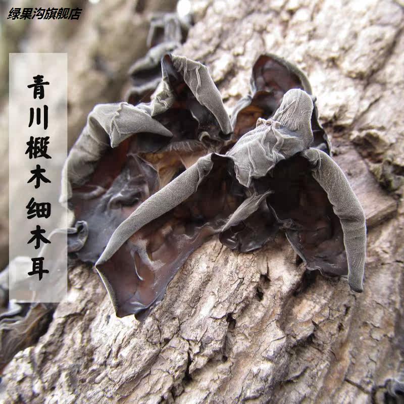野生椴木细木耳薄青川高山四川云耳 绿果沟黑木耳