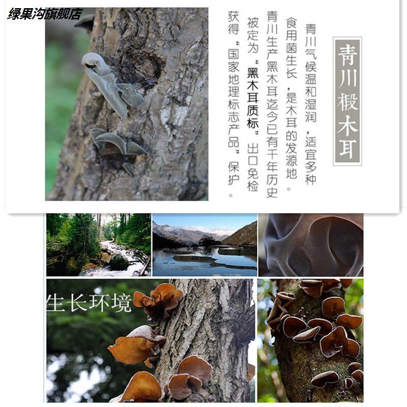 四川特产青川500g无根无杂特级秋耳 绿果沟黑木耳