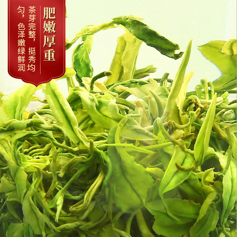 高山云雾绿茶2023新茶雨前炒青绿茶茶叶春季明前炒青绿茶岳西玄月