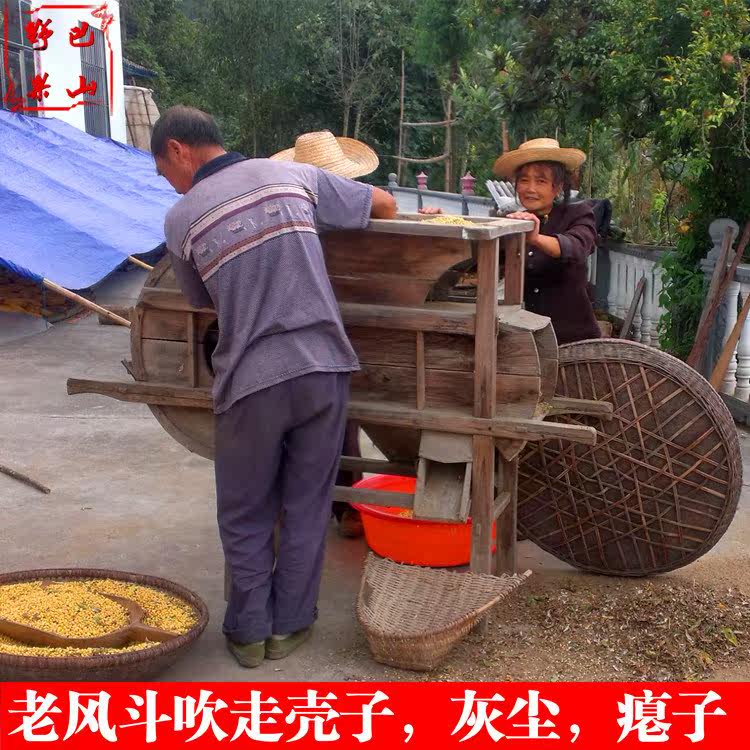 恩施发豆浆品种农家自种本地5黄豆 画迈黄豆