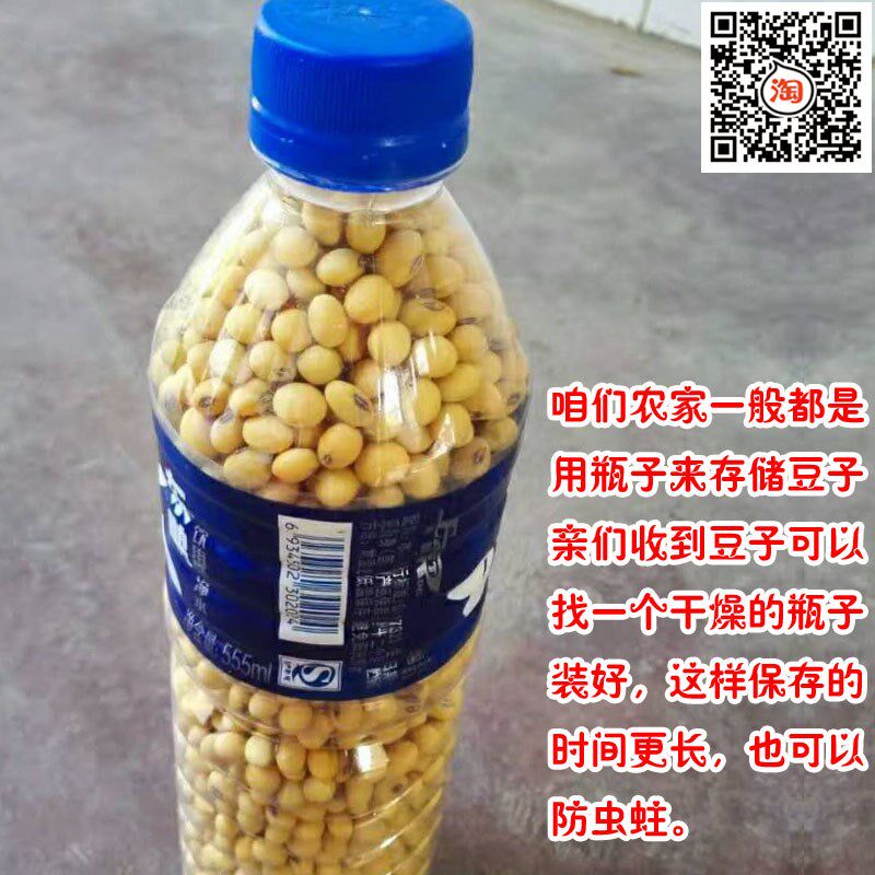 农家自种打豆浆发醇厚土椭圆黄豆 画迈黄豆