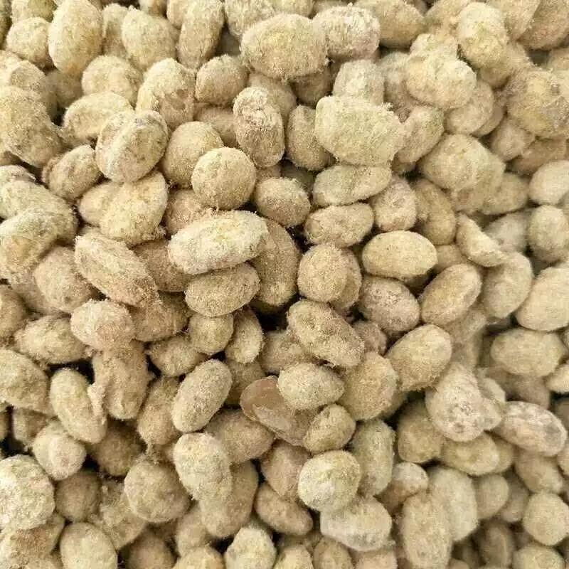 自制霉农家黄豆西瓜酱霉豆瓣大豆 画迈黄豆