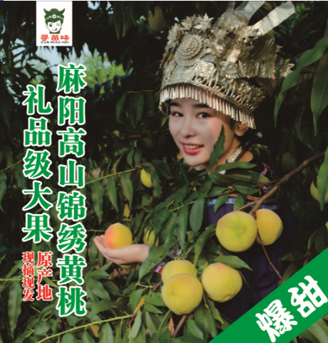 精选湖南麻阳高山锦绣黄桃新鲜桃子 画迈桃