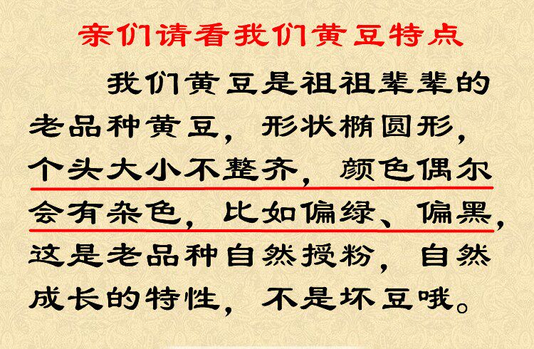 四川雅安农家自种老农药品种黄豆 画迈黄豆