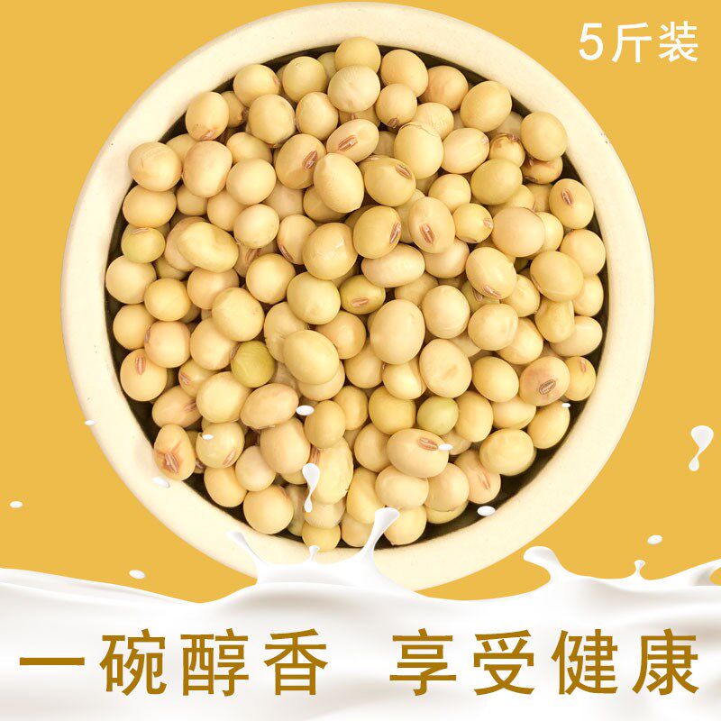 10斤东北大豆新货自种非转基因豆腐 画迈黄豆