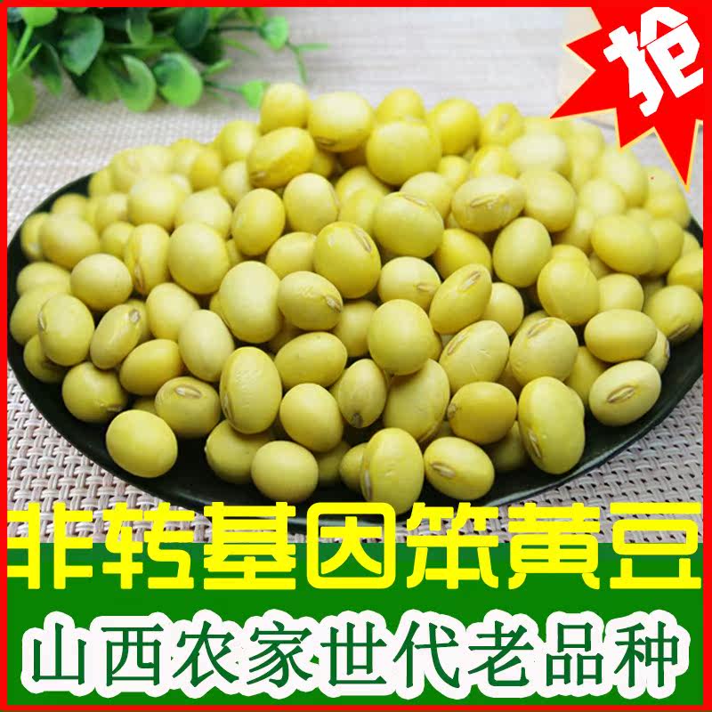 山西农家特级品种大粒笨黄豆大豆 画迈黄豆