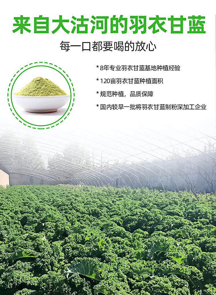 羽衣甘蓝蔬菜粉青汁kale powder 画迈天然粉粉食品