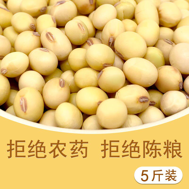 10斤东北大豆新货自种非转基因豆腐 画迈黄豆