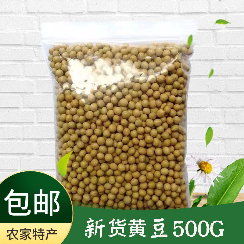 土黄豆农家东北非转基因500g打大豆 画迈黄豆